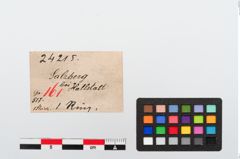 Etiketten zu Bronzering (NHMW-PRAE-024215)